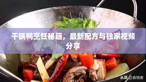 干锅鸭烹饪秘籍，最新配方与独家视频分享