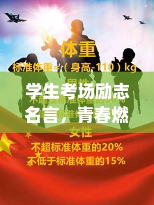 学生考场励志名言，青春燃烧，勇攀高峰之巅