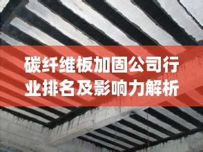 碳纤维板加固公司行业排名及影响力解析