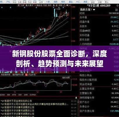 新钢股份股票全面诊断，深度剖析、趋势预测与未来展望