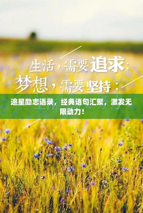 追星励志语录，经典语句汇聚，激发无限动力！