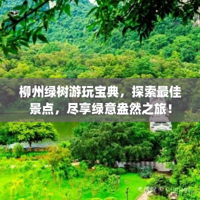 柳州绿树游玩宝典，探索最佳景点，尽享绿意盎然之旅！