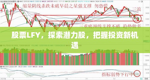 股票LFY，探索潜力股，把握投资新机遇