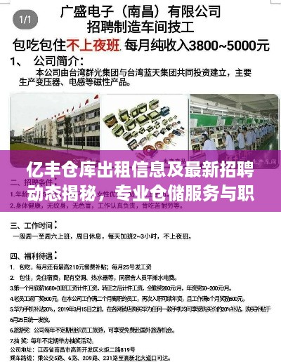 亿丰仓库出租信息及最新招聘动态揭秘，专业仓储服务与职业机会一站式了解