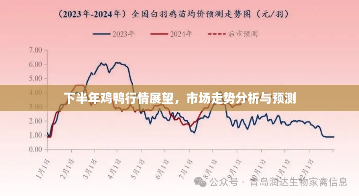 下半年鸡鸭行情展望，市场走势分析与预测