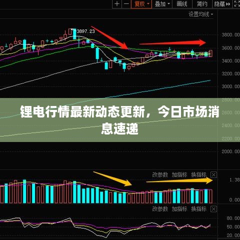 锂电行情最新动态更新，今日市场消息速递