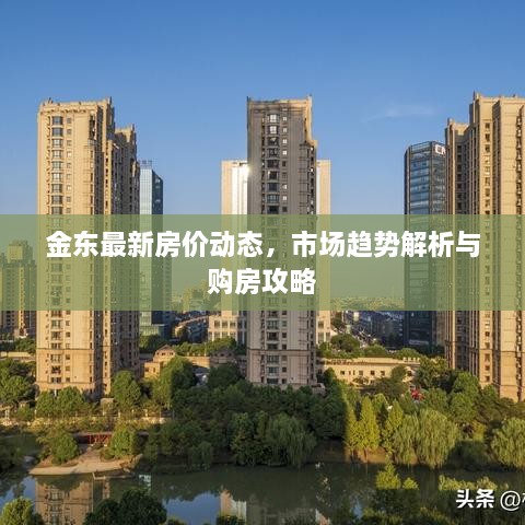 金东最新房价动态，市场趋势解析与购房攻略