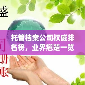 托管档案公司权威排名榜，业界翘楚一览无余！