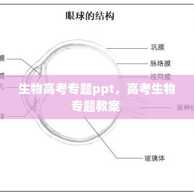 生物高考专题ppt，高考生物专题教案 