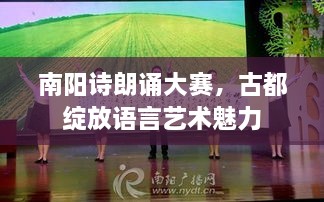 南阳诗朗诵大赛，古都绽放语言艺术魅力