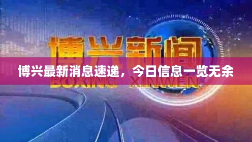 博兴最新消息速递，今日信息一览无余