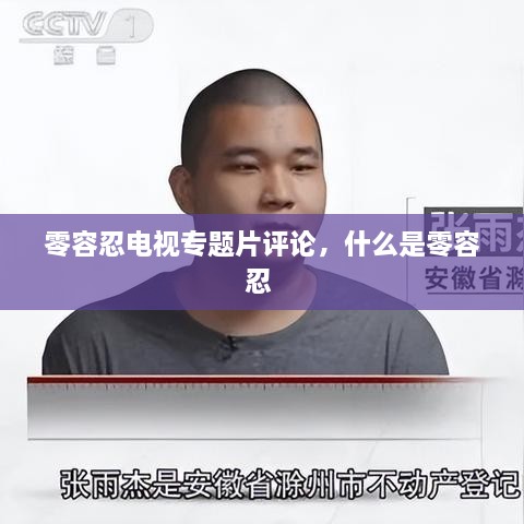 零容忍电视专题片评论，什么是零容忍 