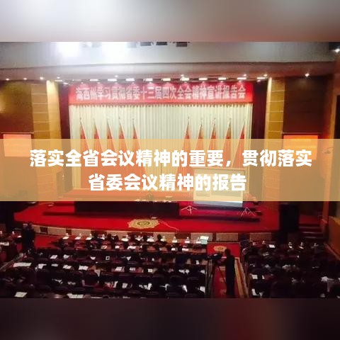 落实全省会议精神的重要，贯彻落实省委会议精神的报告 