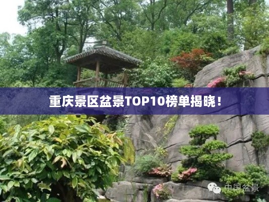 重庆景区盆景TOP10榜单揭晓！