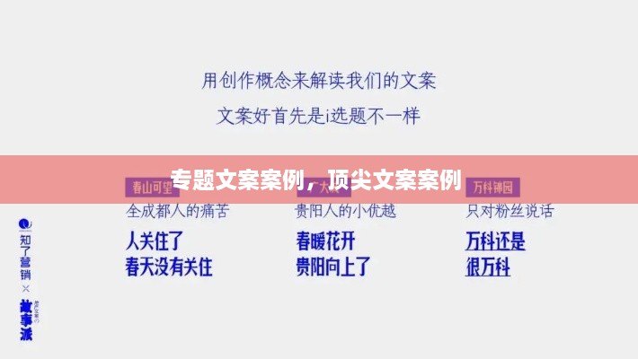 专题文案案例，顶尖文案案例 