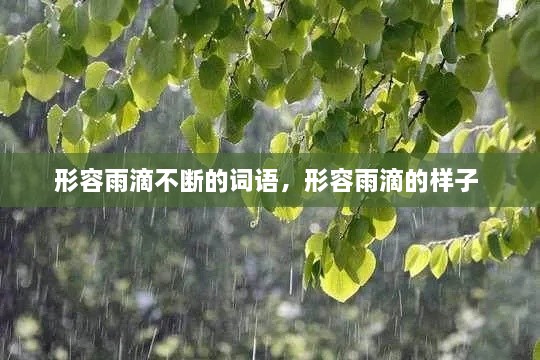 形容雨滴不断的词语，形容雨滴的样子 