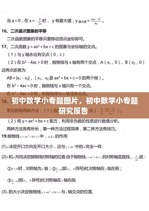 初中数学小专题图片，初中数学小专题研究报告 