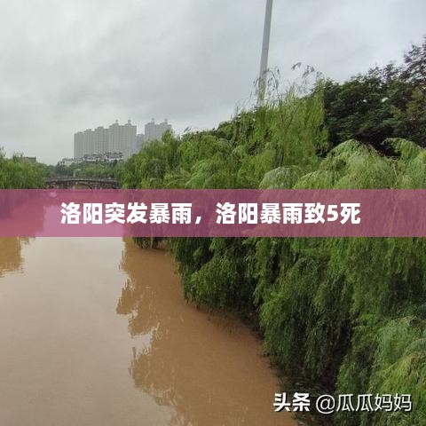 洛阳突发暴雨，洛阳暴雨致5死 