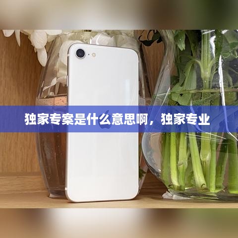 独家专案是什么意思啊，独家专业 