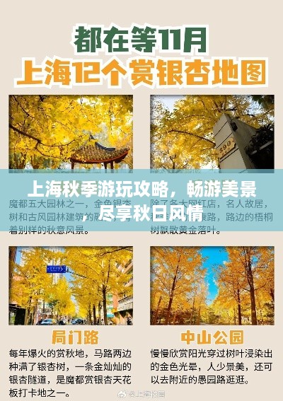 上海秋季游玩攻略，畅游美景，尽享秋日风情