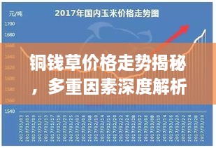 铜钱草价格走势揭秘，多重因素深度解析！