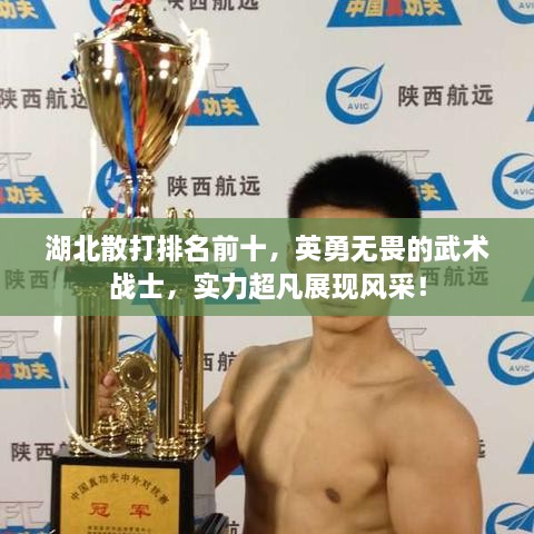 湖北散打排名前十，英勇无畏的武术战士，实力超凡展现风采！