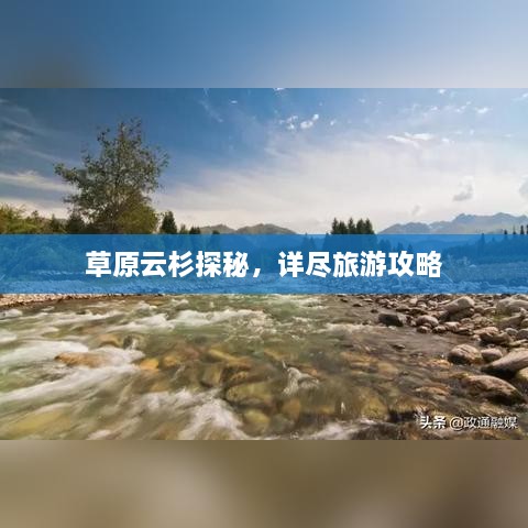 草原云杉探秘，详尽旅游攻略