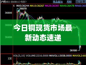今日铜现货市场最新动态速递