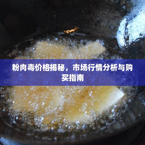 粉肉毒价格揭秘，市场行情分析与购买指南