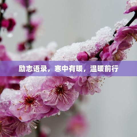 励志语录，寒中有暖，温暖前行